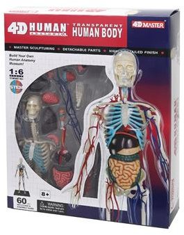 Акція на Объемная анатомическая модель 4D Master Тело человека прозрачное FM-626204 від Stylus