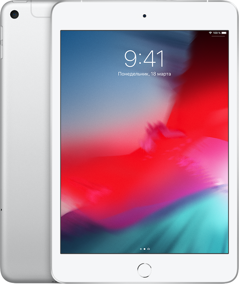 Акція на Apple iPad mini 5 Wi-Fi + Lte 64GB Silver (MUXG2) 2019 від Stylus