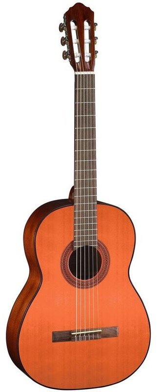 

Классическая гитара Cort AC100DX Yt w/bag