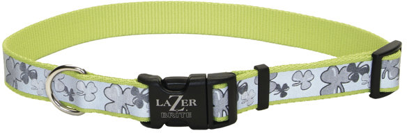 

Ошейник Coastal Lazer для собак светоотражающий салатовый 1.6 смx30-45 см
