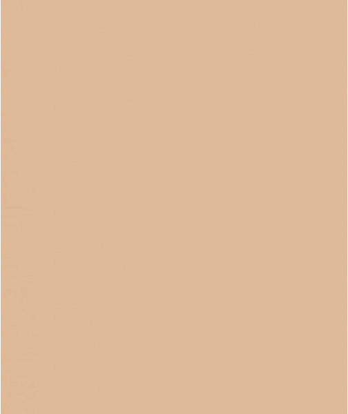 

Savage Widetone Beige 1.36m x 11m