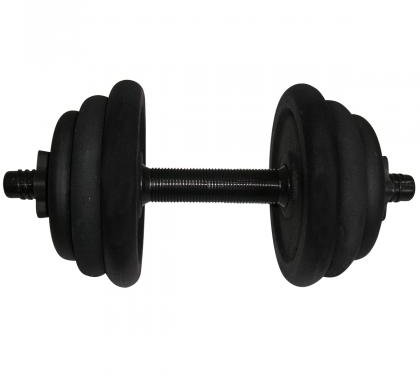 

Newt 12.5 кг наборная стальная (NE-300-GP013)