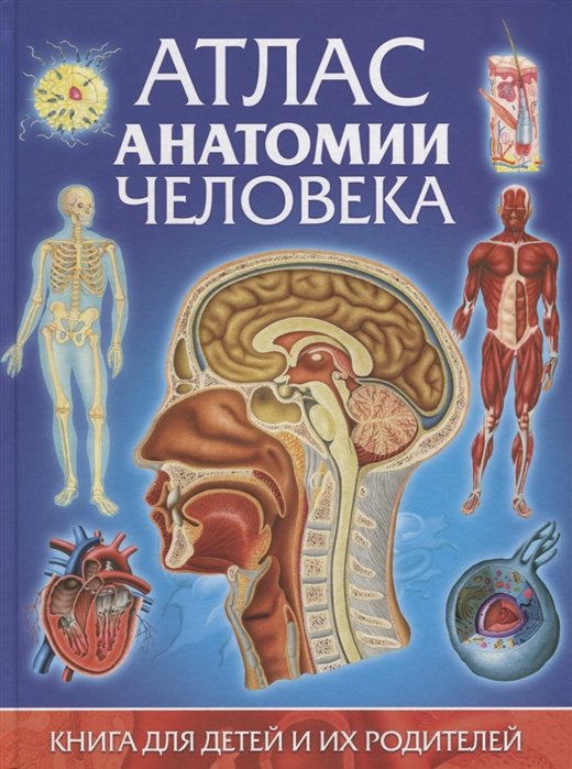 

Винченцо Гуиди: Атлас анатомии человека. Книга для детей и их родителей