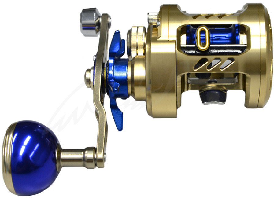 

Daiwa Millionare Basara 200H-L (00615049)