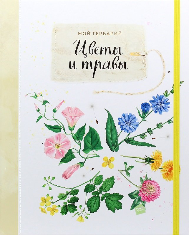 

Анна Васильева: Мой гербарий. Цветы и травы