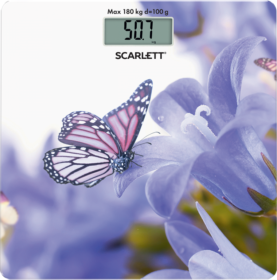 

Scarlett SC-BS33E072