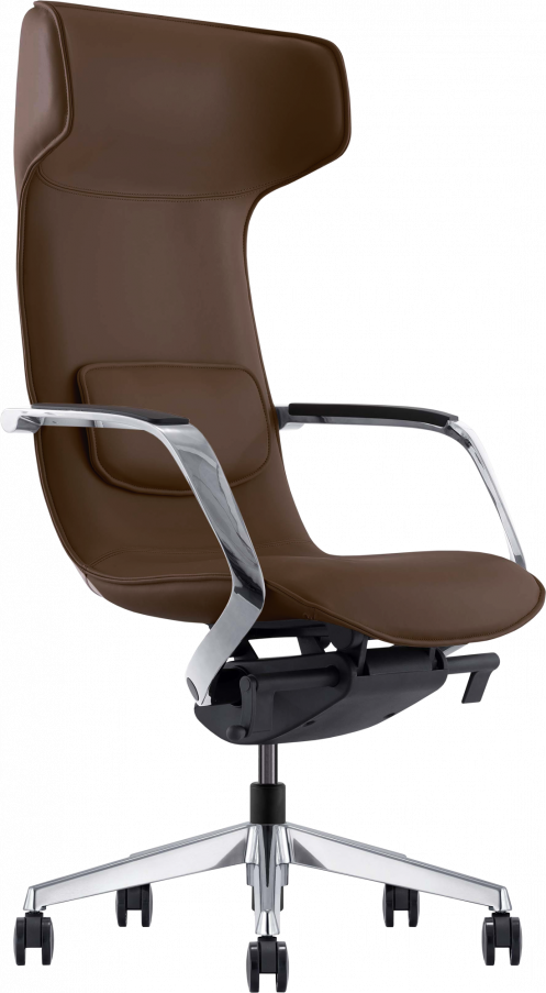 

Gt Racer Leather Brown (X-003F)