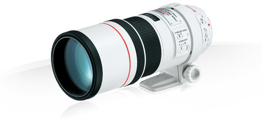 

Canon Ef 300mm f/4L Is Usm Официальная гарантия