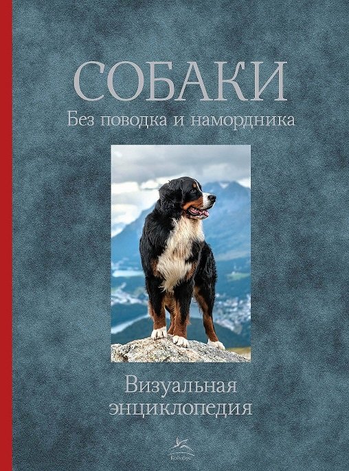 

Тамсин Пикерел. Собаки. Без поводка и намордника