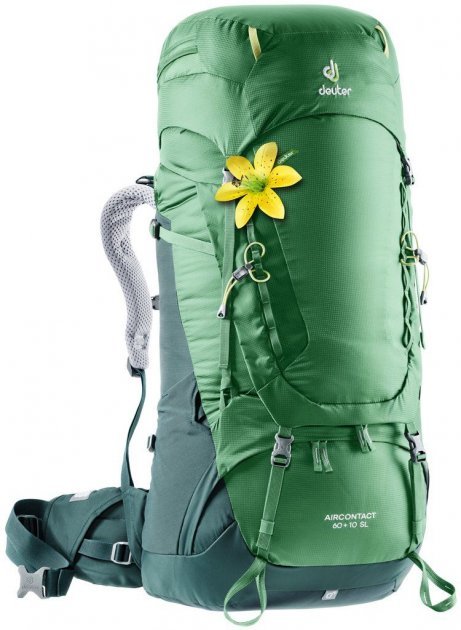 

Рюкзак Deuter Aircontact 60 + 10 Sl цвет 2238 leaf-forest (3320419 2238)