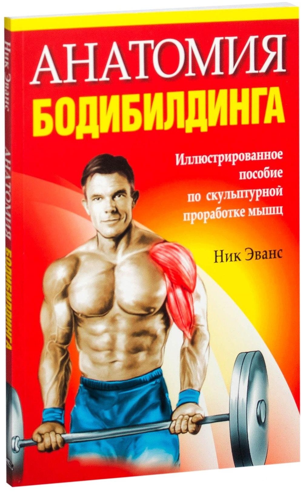

Анатомия бодибилдинга