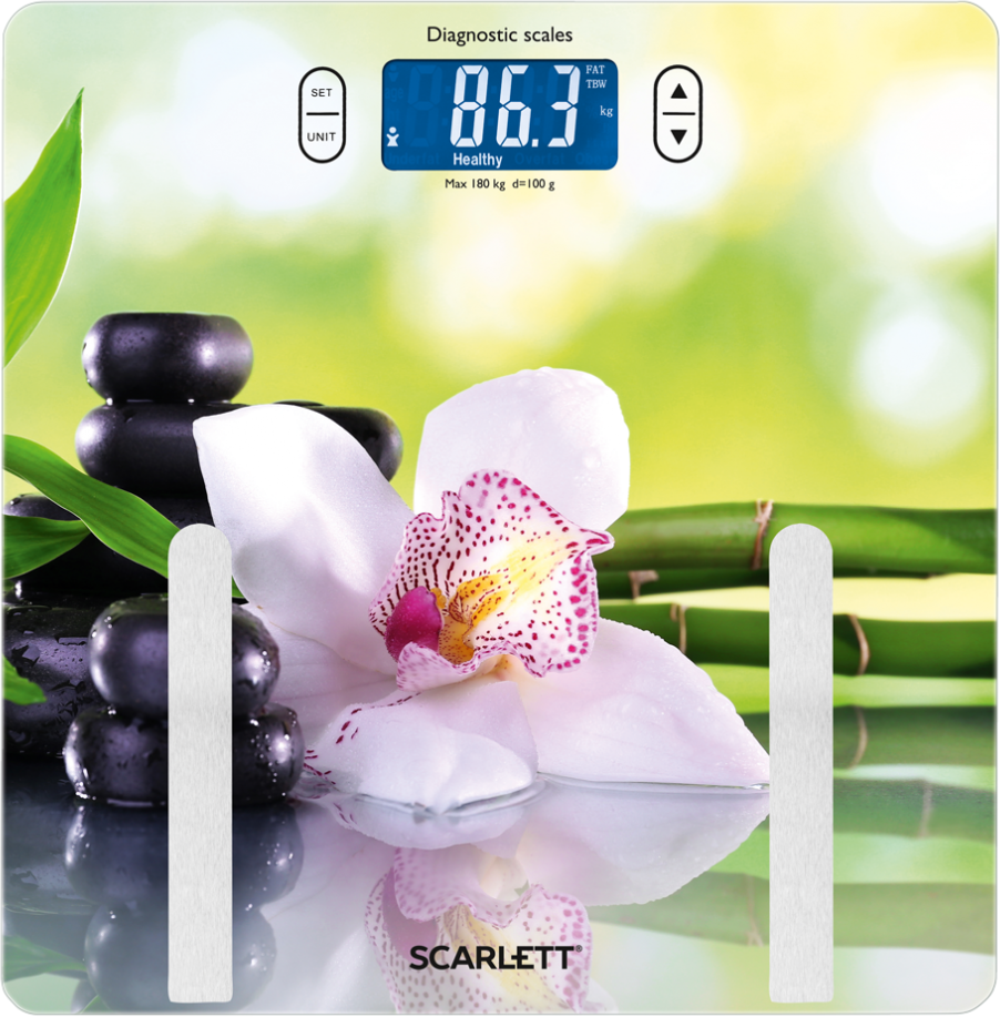

Scarlett SC-BS33ED10