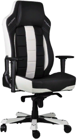 

Кресло DXRacer Classic Black/White (OH/CE120/NW)