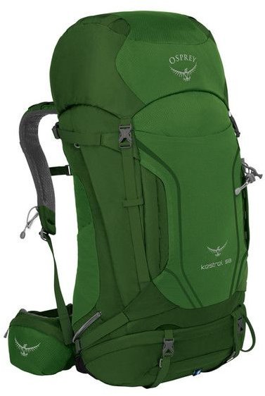 

Osprey Kestrel 58 (2018) Jungle Green - S/M (009.1175)