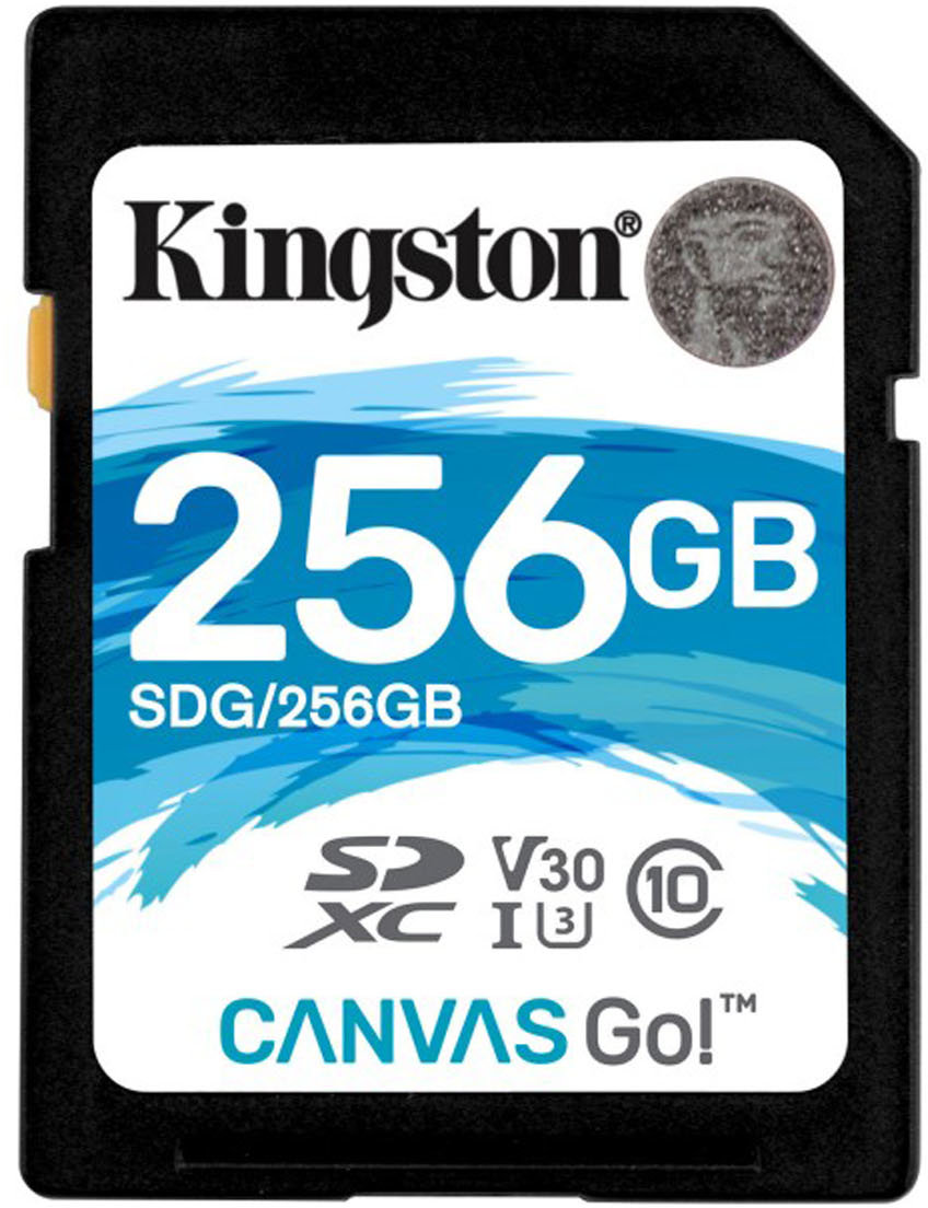 

Kingston 256GB Sdxc Class 10 UHS-I U3 V30 Canvas Go (SDG/256GB)