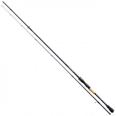 

Daiwa Powermesh Spin 2,4m 14-42gr (11918-242)