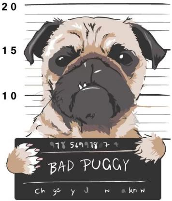 

Картина по номерам Rosa Bad Puggy 35х45см N00013215