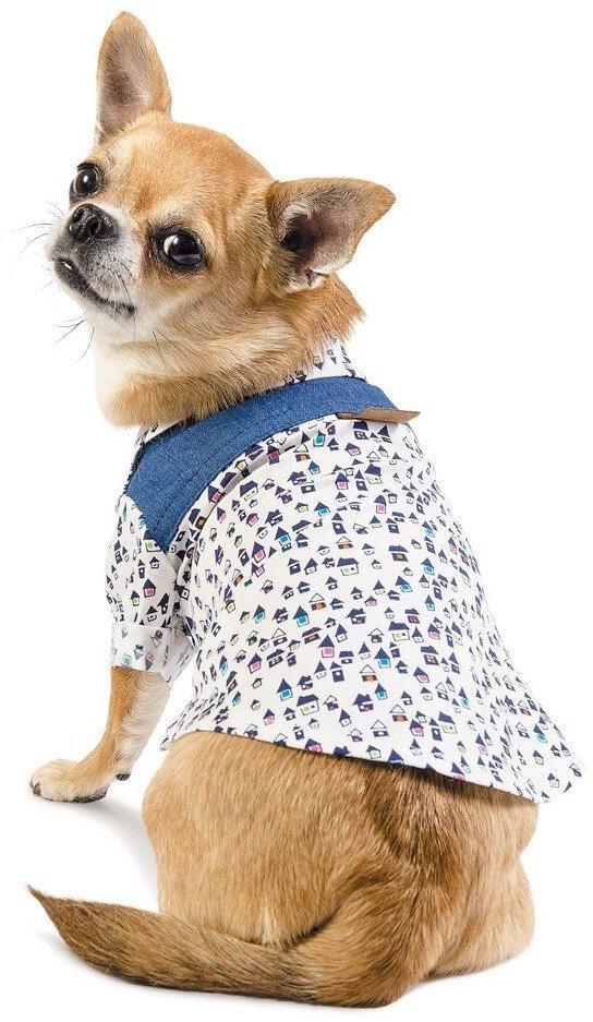 

Рубашка Pet Fashion Челси S (4823082409716)