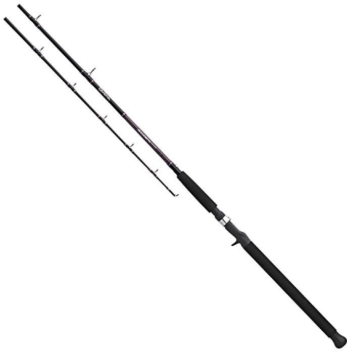 

Daiwa Accudepth ACDLC661HRB 2,02m (ACDLC661HRB)