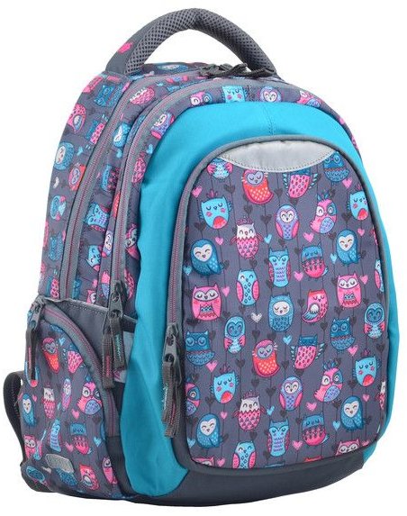 

Рюкзак молодежный Yes Т-22 Wise Owl (554788)