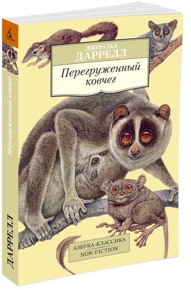 

Перегруженный ковчег