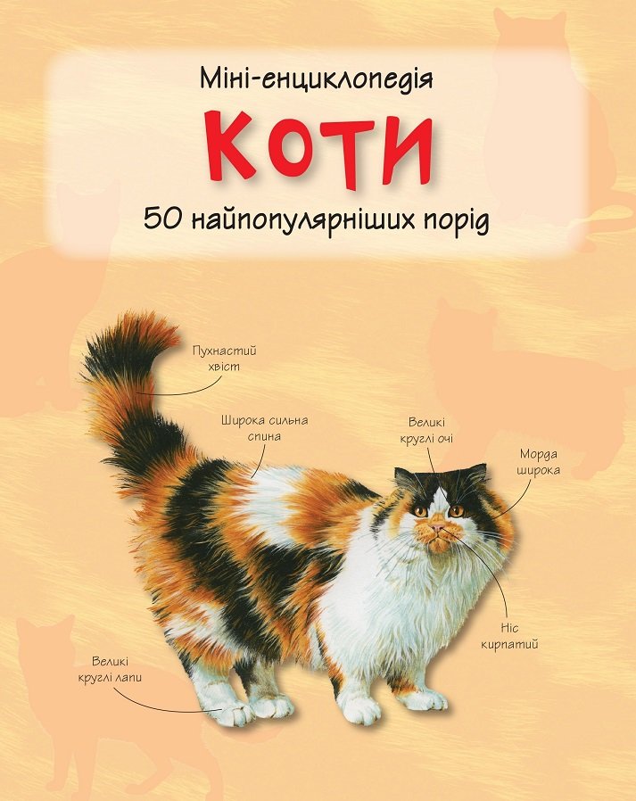 Алекс коте книги. Кошки в литературе. Кот букс.