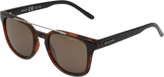 

Солнцезащитные очки Alpina Sylon, квадратные (A8609-91)