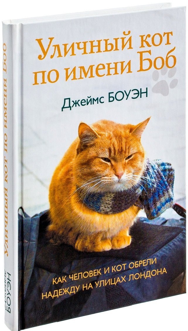 

Джеймс Боуэн: Уличный кот по имени Боб. Как человек и кот обрели надежду на улицах Лондона