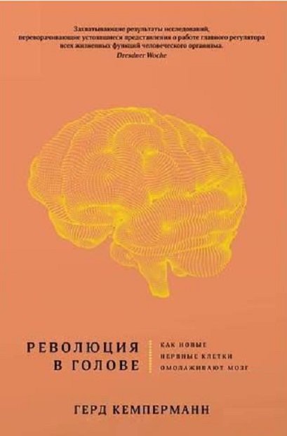 

Революция в голове. Как новые нервные клетки омолаживают мозг