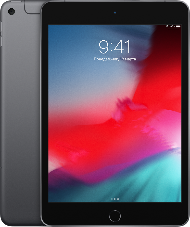 Акція на Apple iPad mini 5 2019 Wi-Fi + Lte 256GB Space Gray (MUXM2) від Stylus