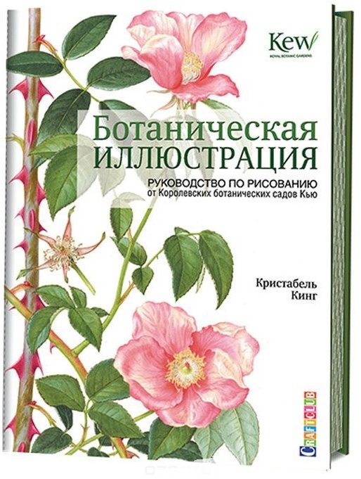 

Ботаническая иллюстрация. Руководство по рисованию от Королевских ботанических садов Кью