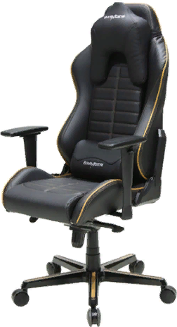 

Кресло DXRacer Drifting Black/Brown (OH/DJ133/NC)