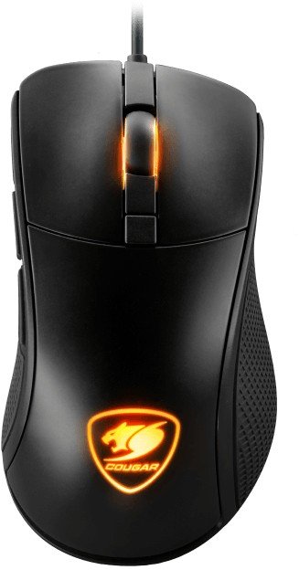 

Cougar Surpassion
