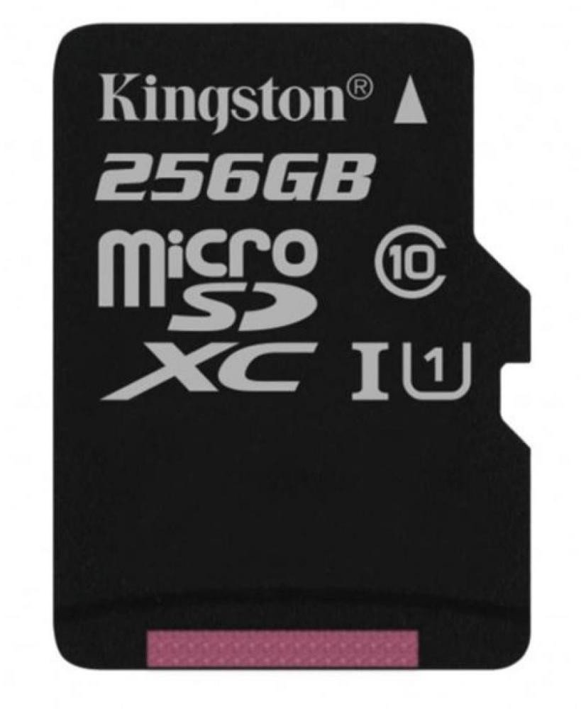 

Kingston 256GB microSDXC Class 10 UHS-I U1 (SDCS/256GBSP)