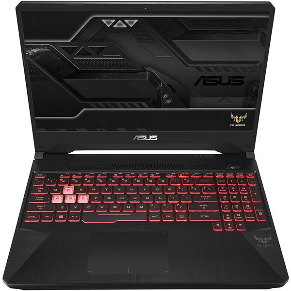 

Asus FX505GM (FX505GM-BQ393)